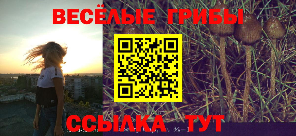 Галлюциногенные грибы Cubensis Брянск