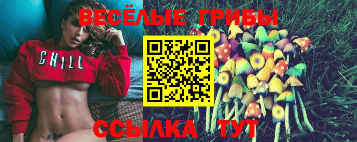 Псилоцибиновые грибы Cubensis  Вход с VPN  Псилоцибиновые грибы мицелий  Брянск 